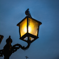 Be A Light In The Darkness